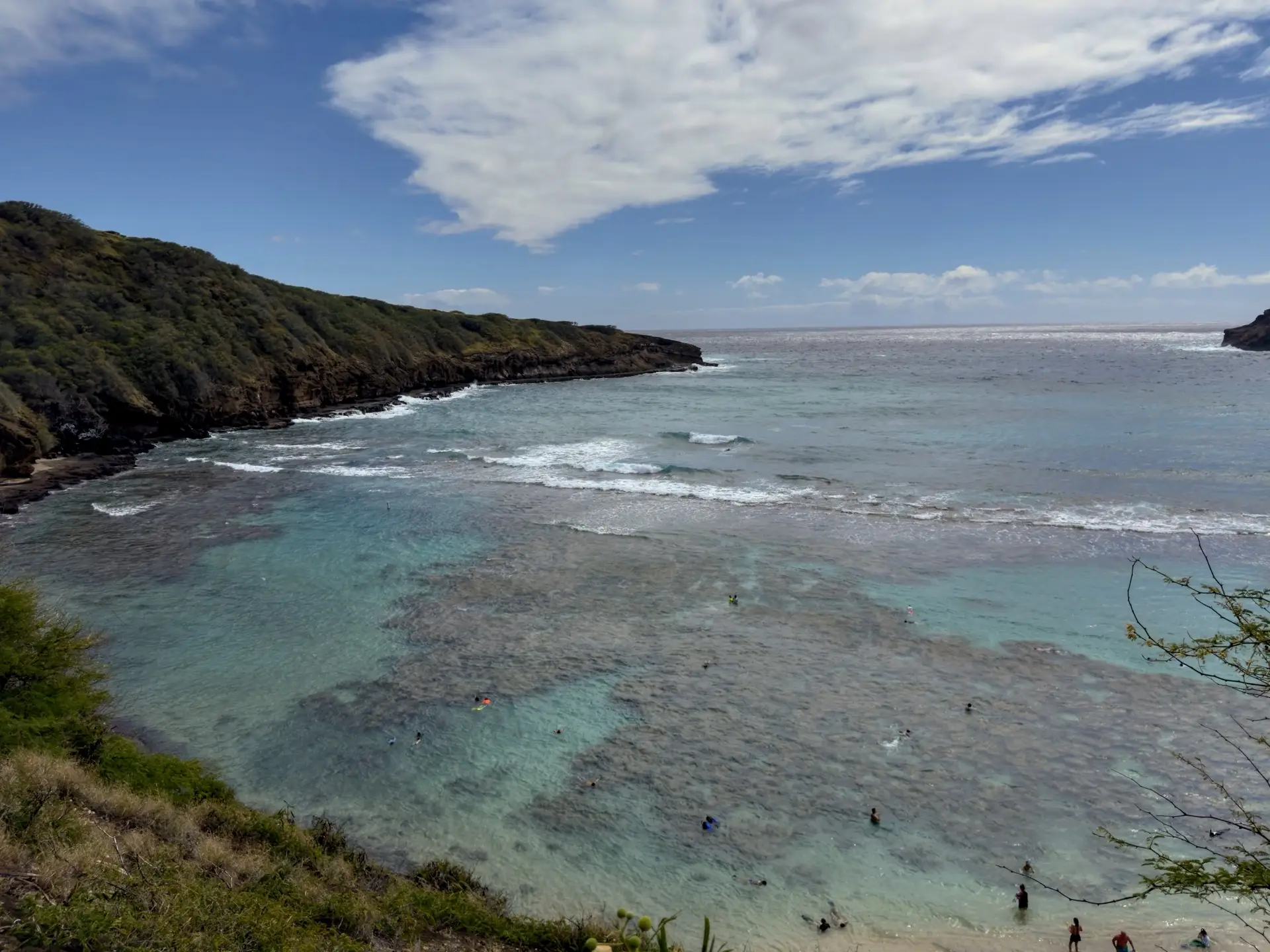 North Shore Waves