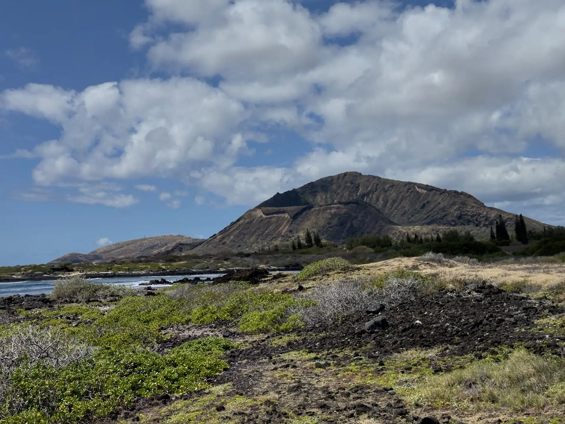 Honolulu, HI, December 12, 2024