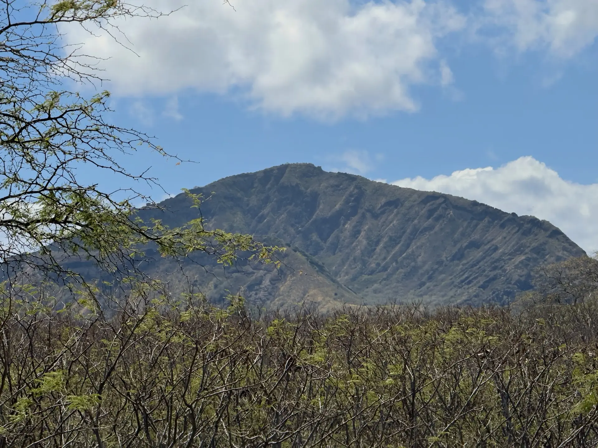 Honolulu, HI, December 12, 2024