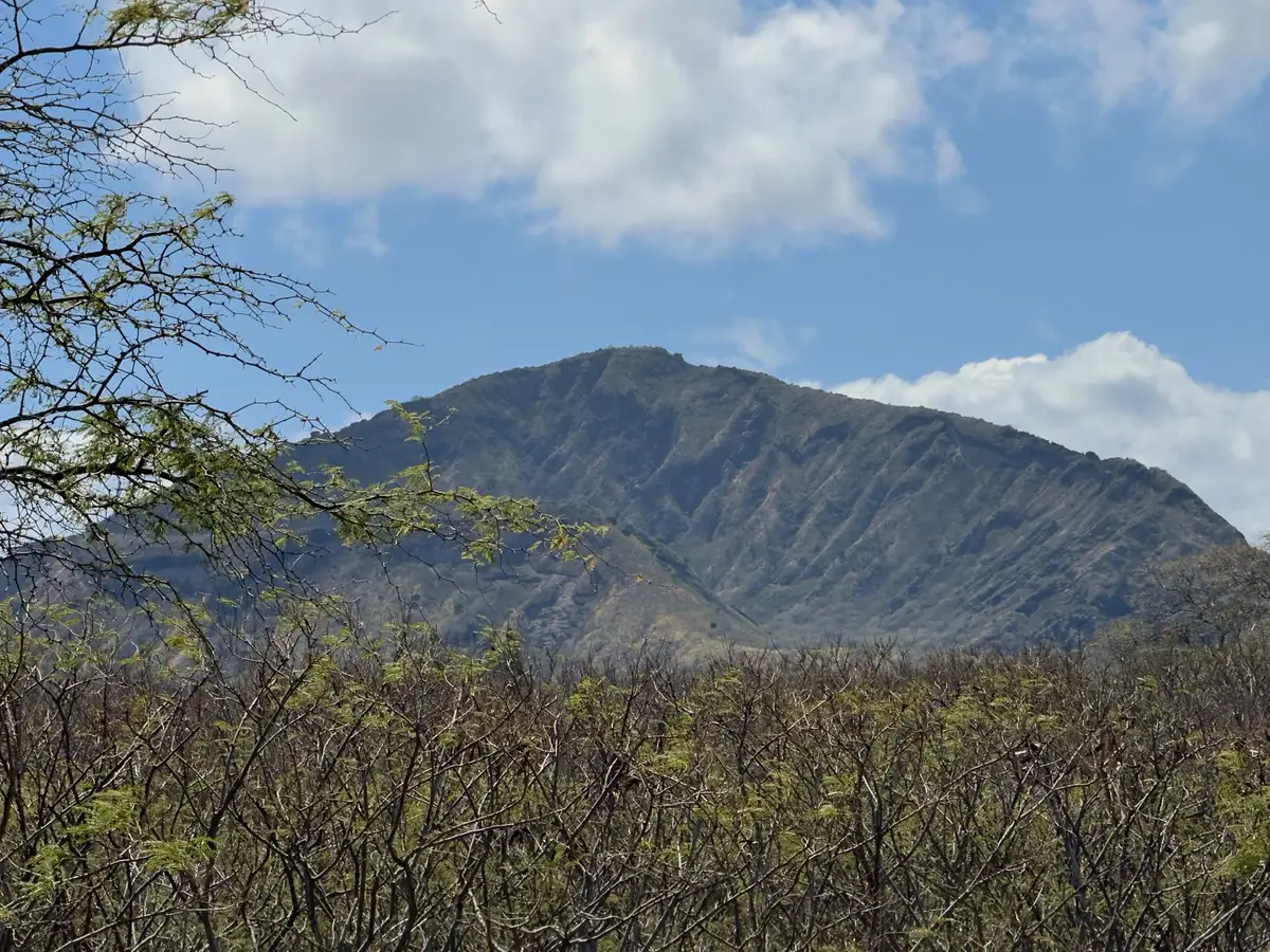 Honolulu, HI, December 12, 2024