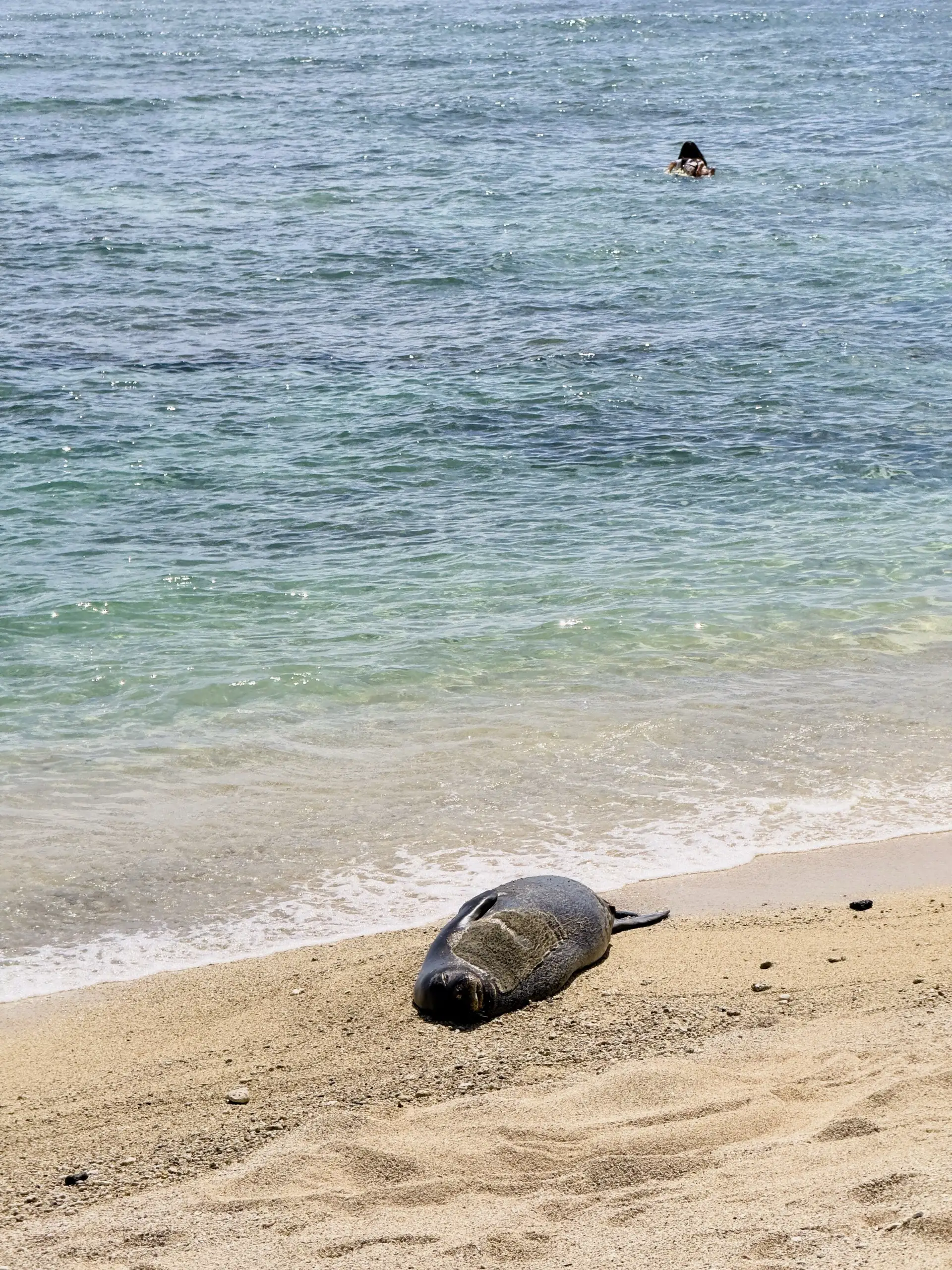 Honolulu, HI, December 12, 2024