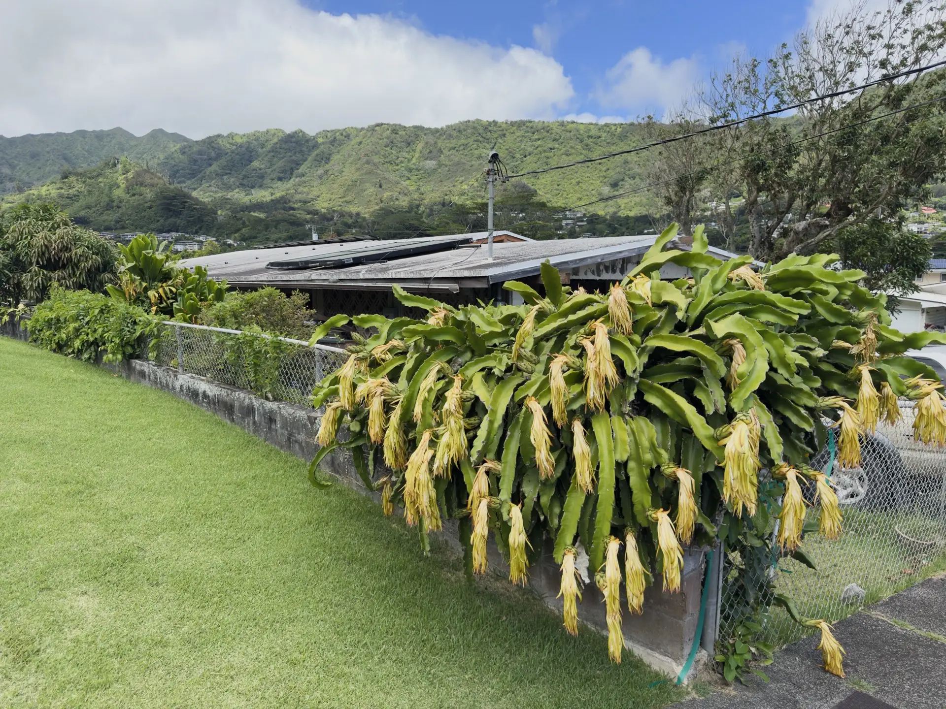 Honolulu, HI, December 12, 2024