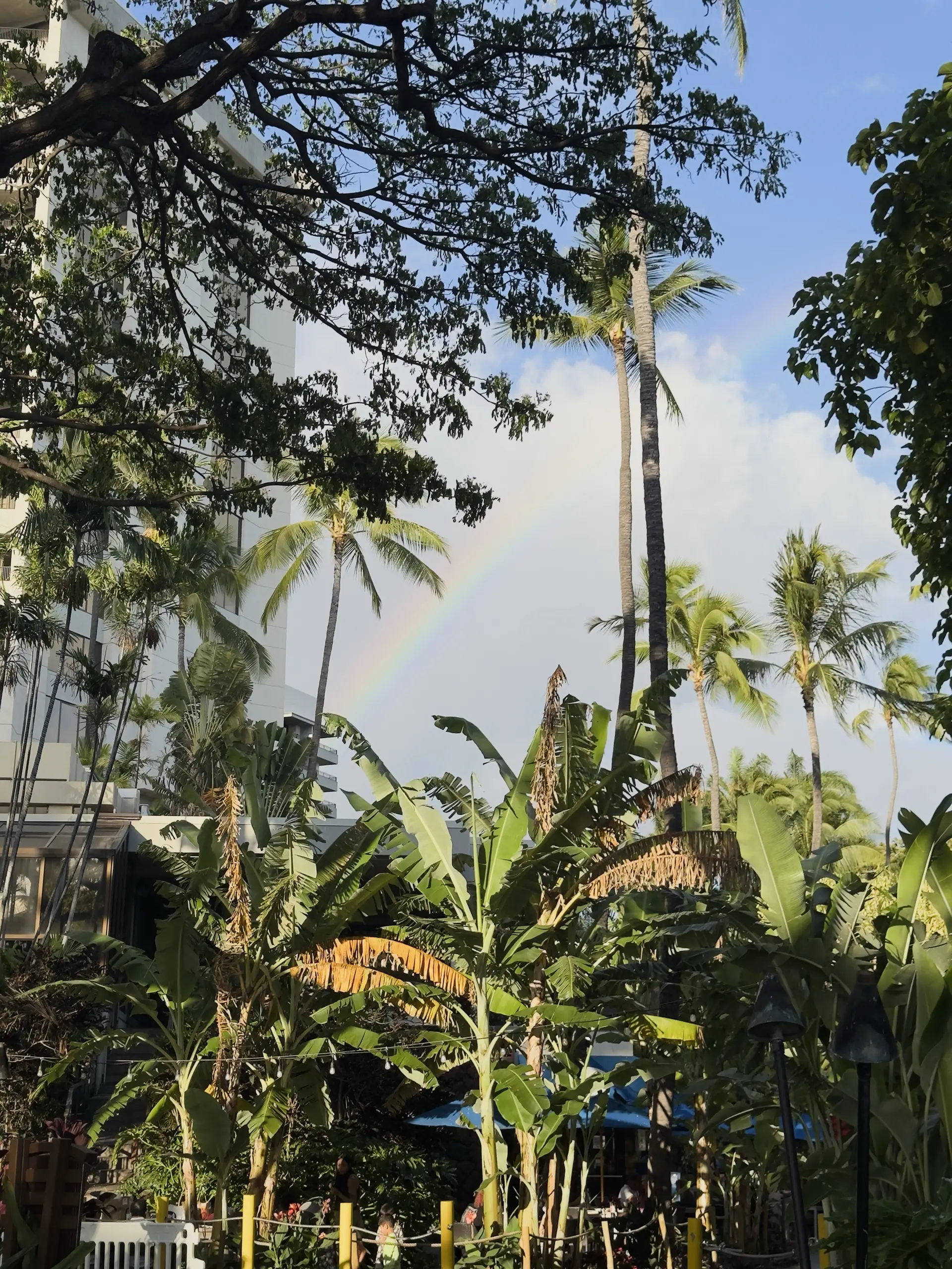 Honolulu, HI, December 12, 2024