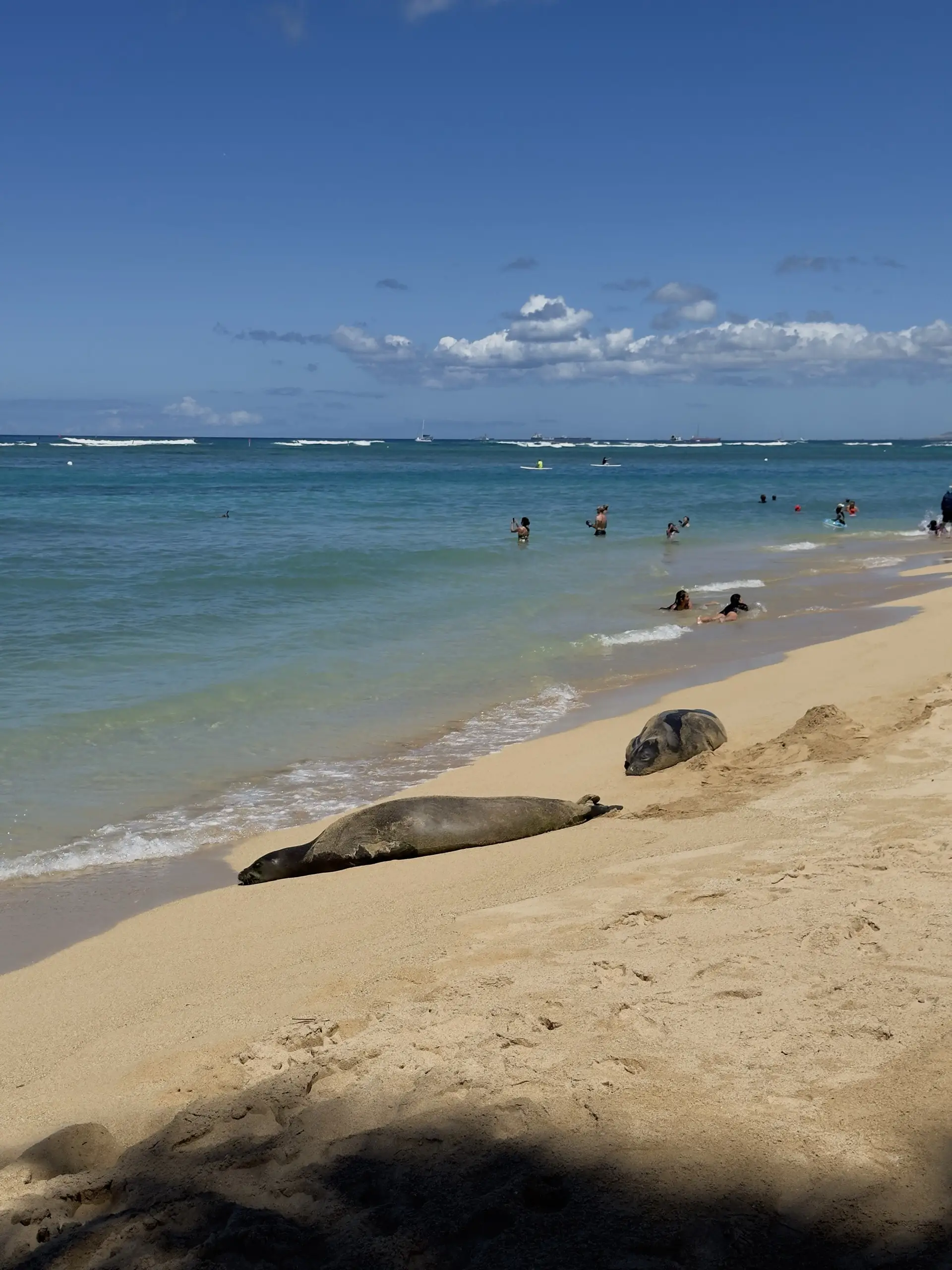 Honolulu, HI, December 12, 2024