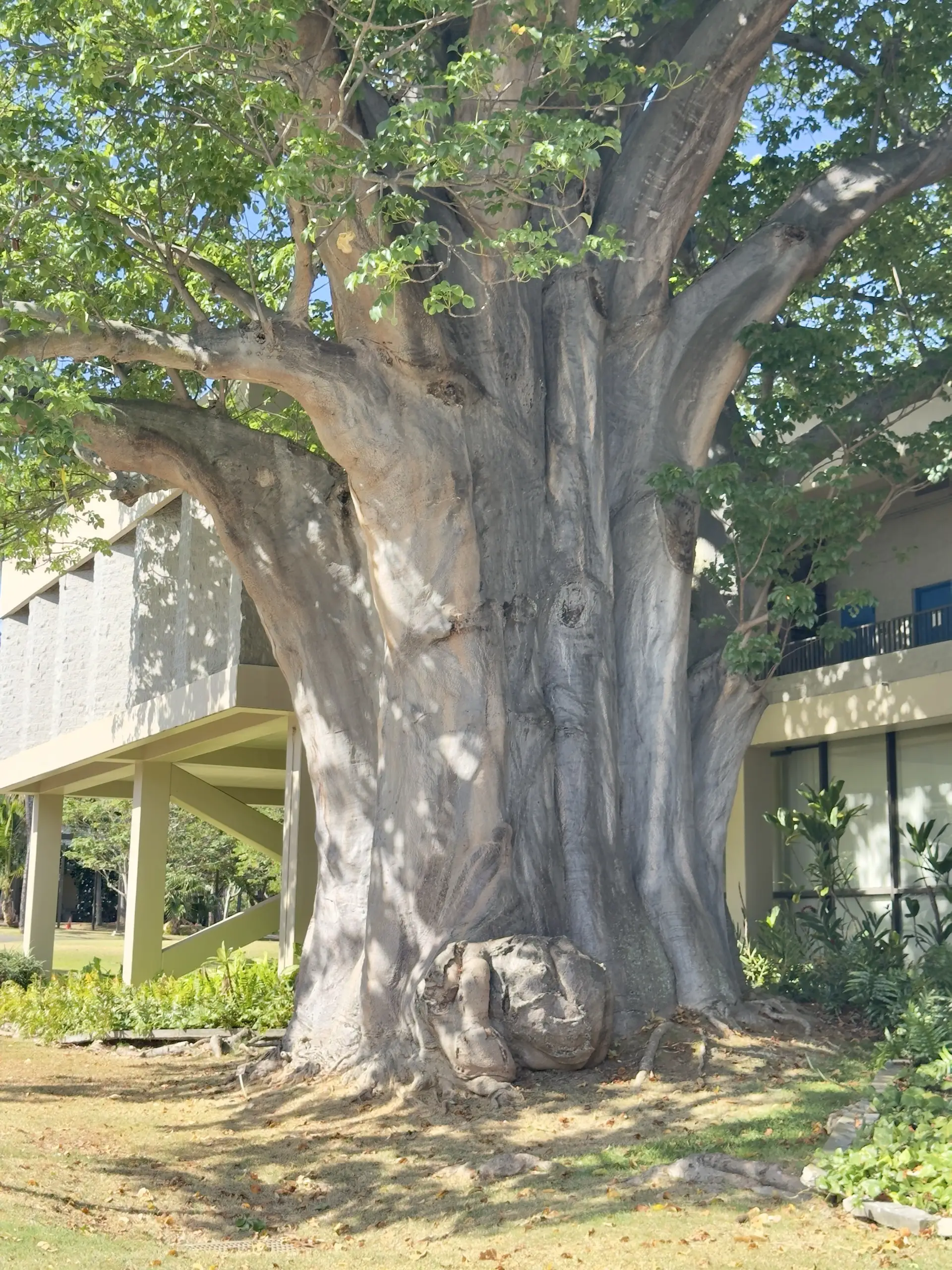 Honolulu, HI, December 12, 2024