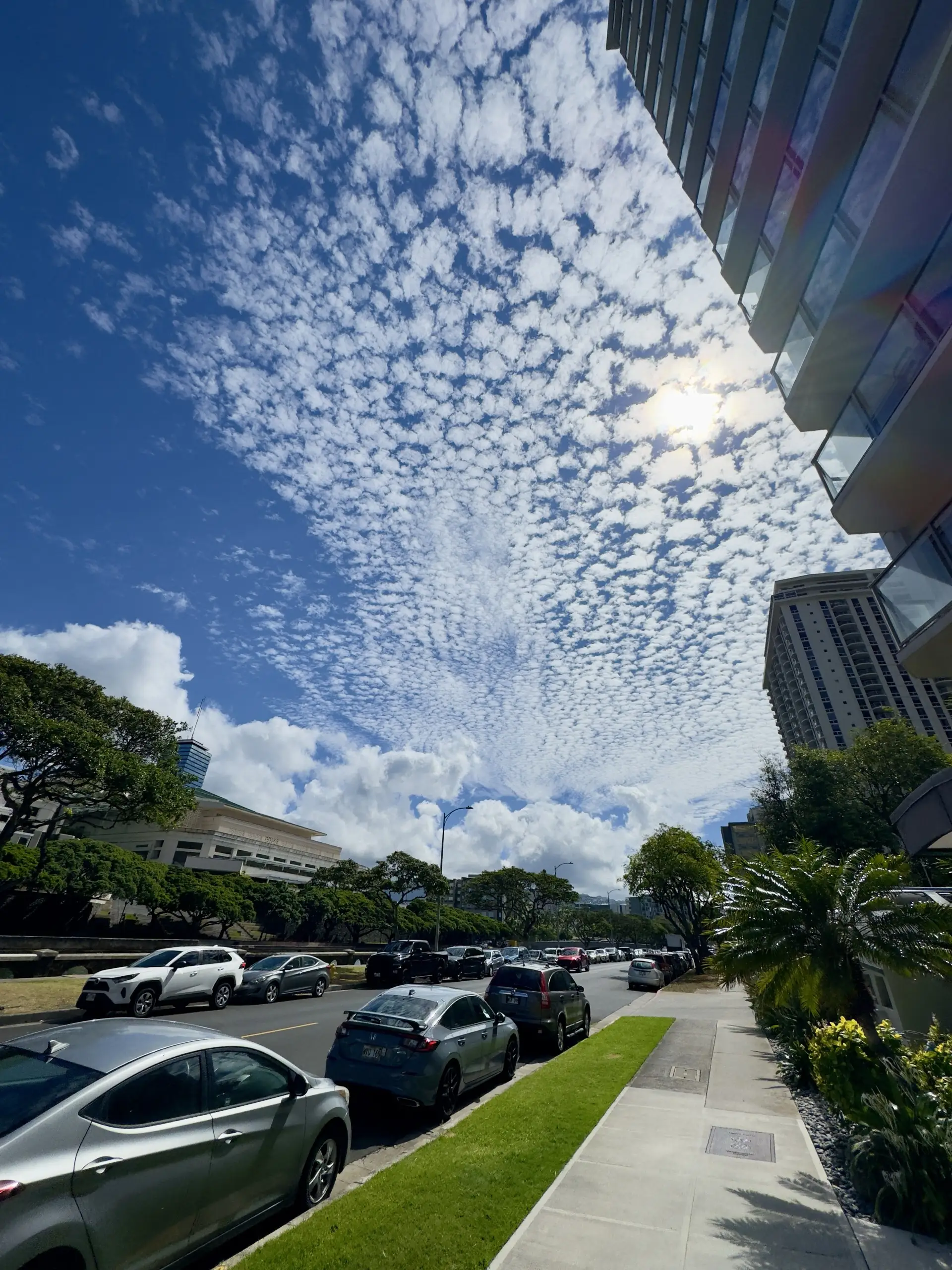 Honolulu, HI, December 12, 2024