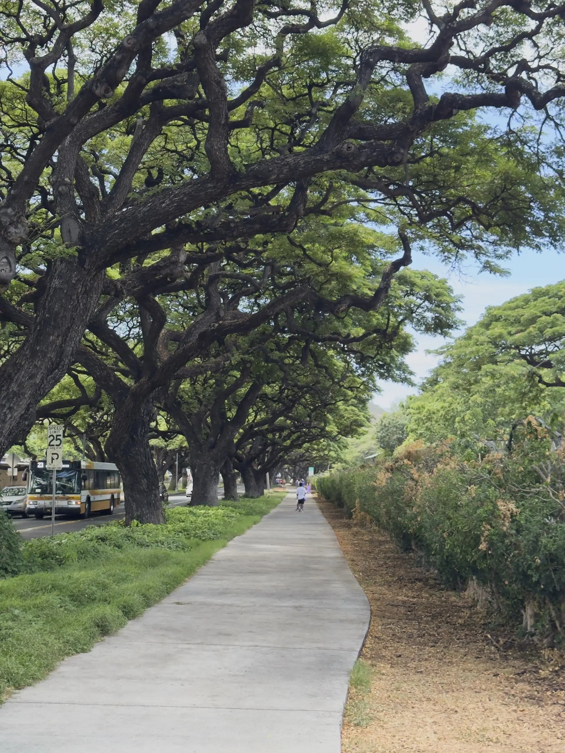 Honolulu, HI, December 12, 2024