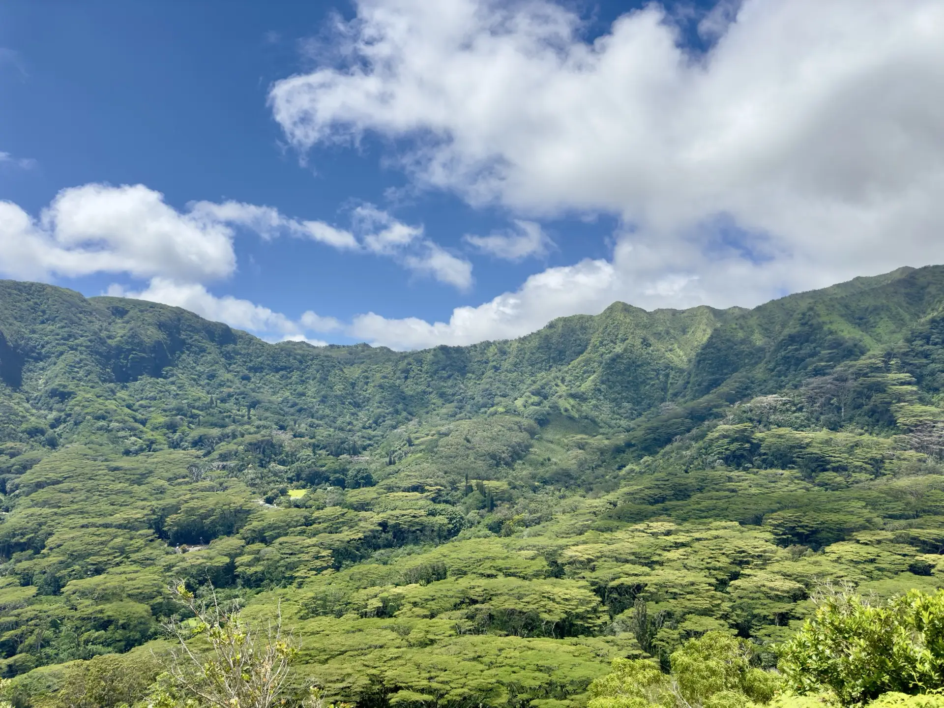 Honolulu, HI, December 12, 2024