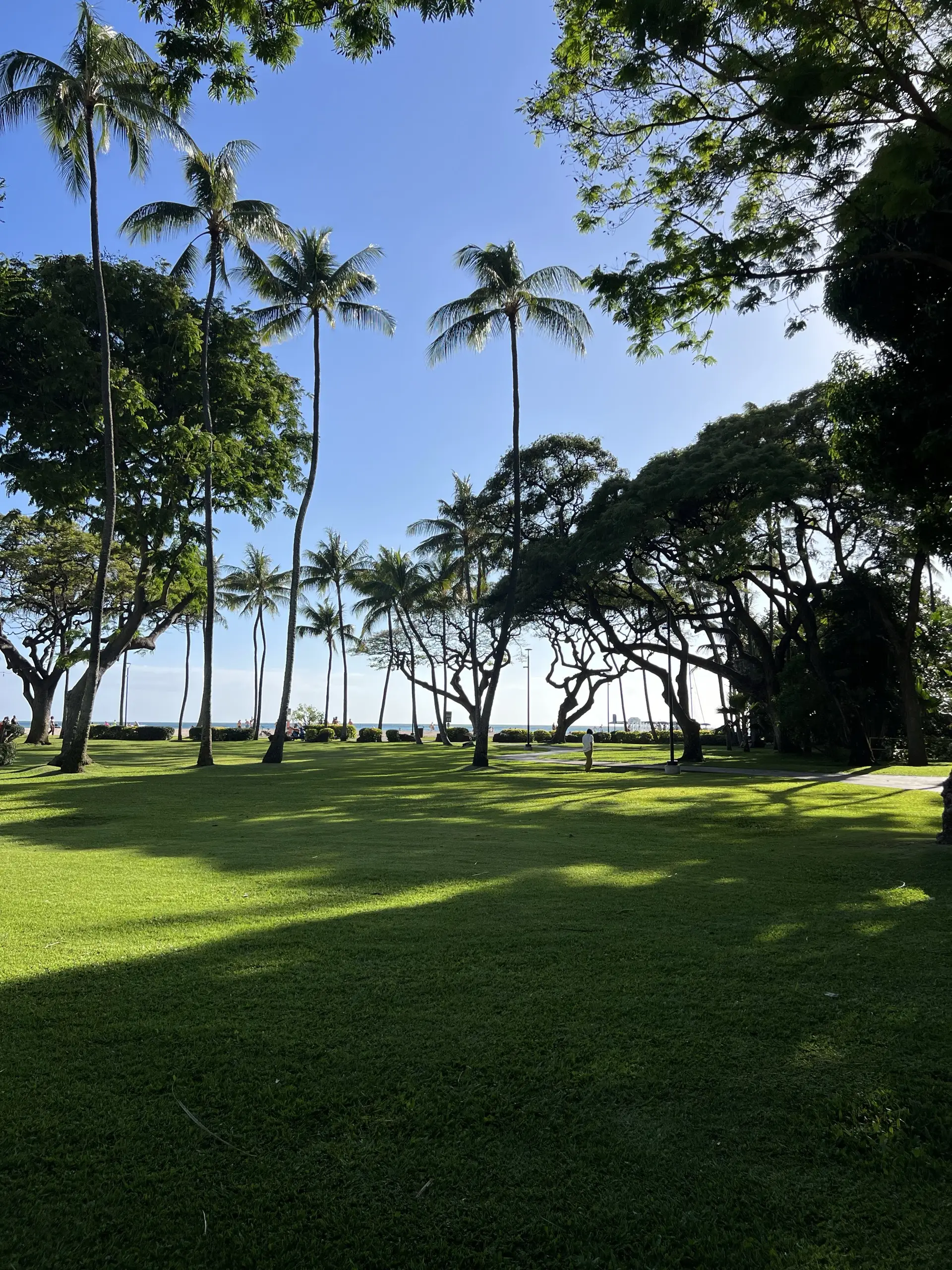 Honolulu, HI, December 12, 2024