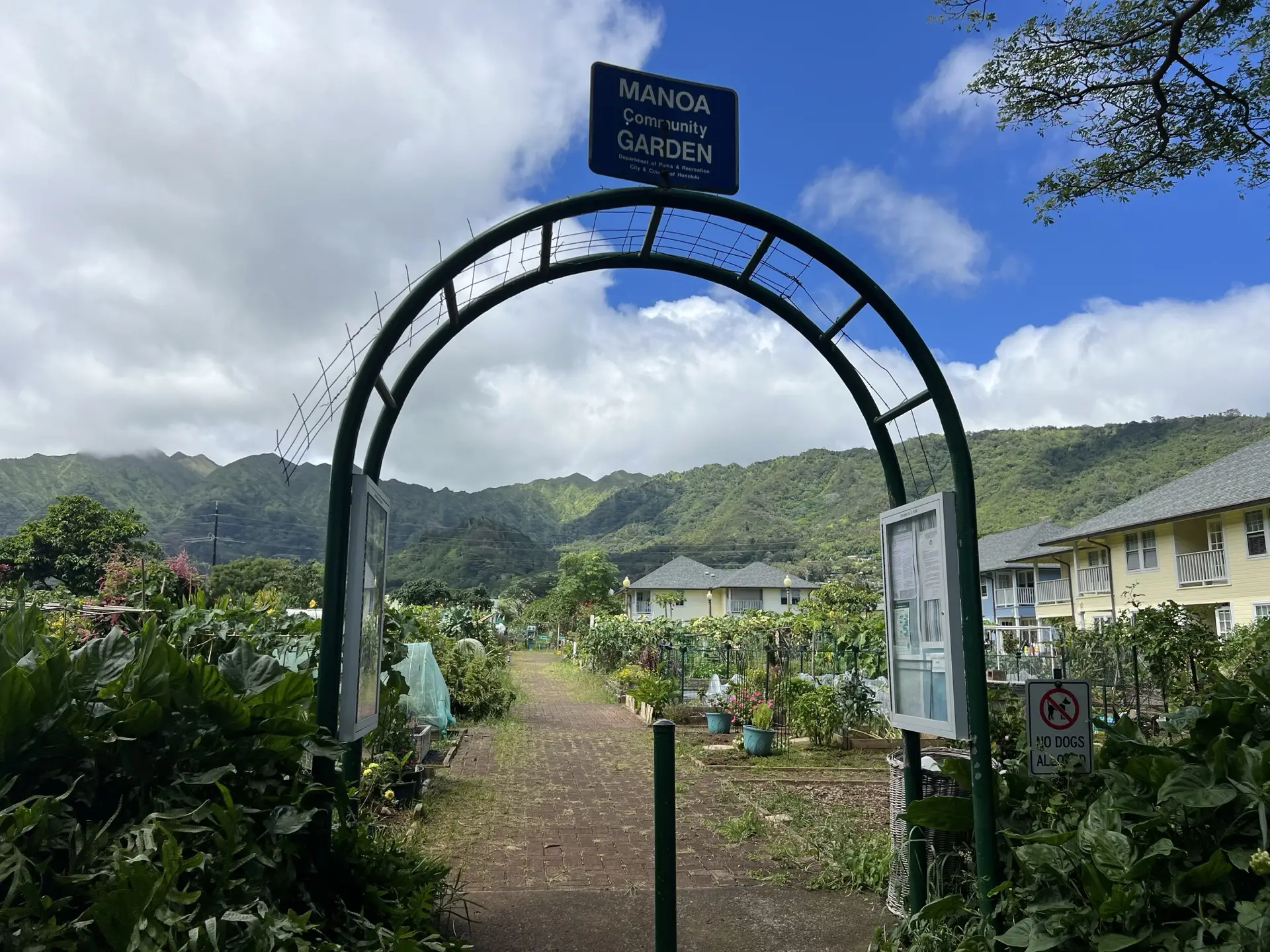 Honolulu, HI, December 12, 2024