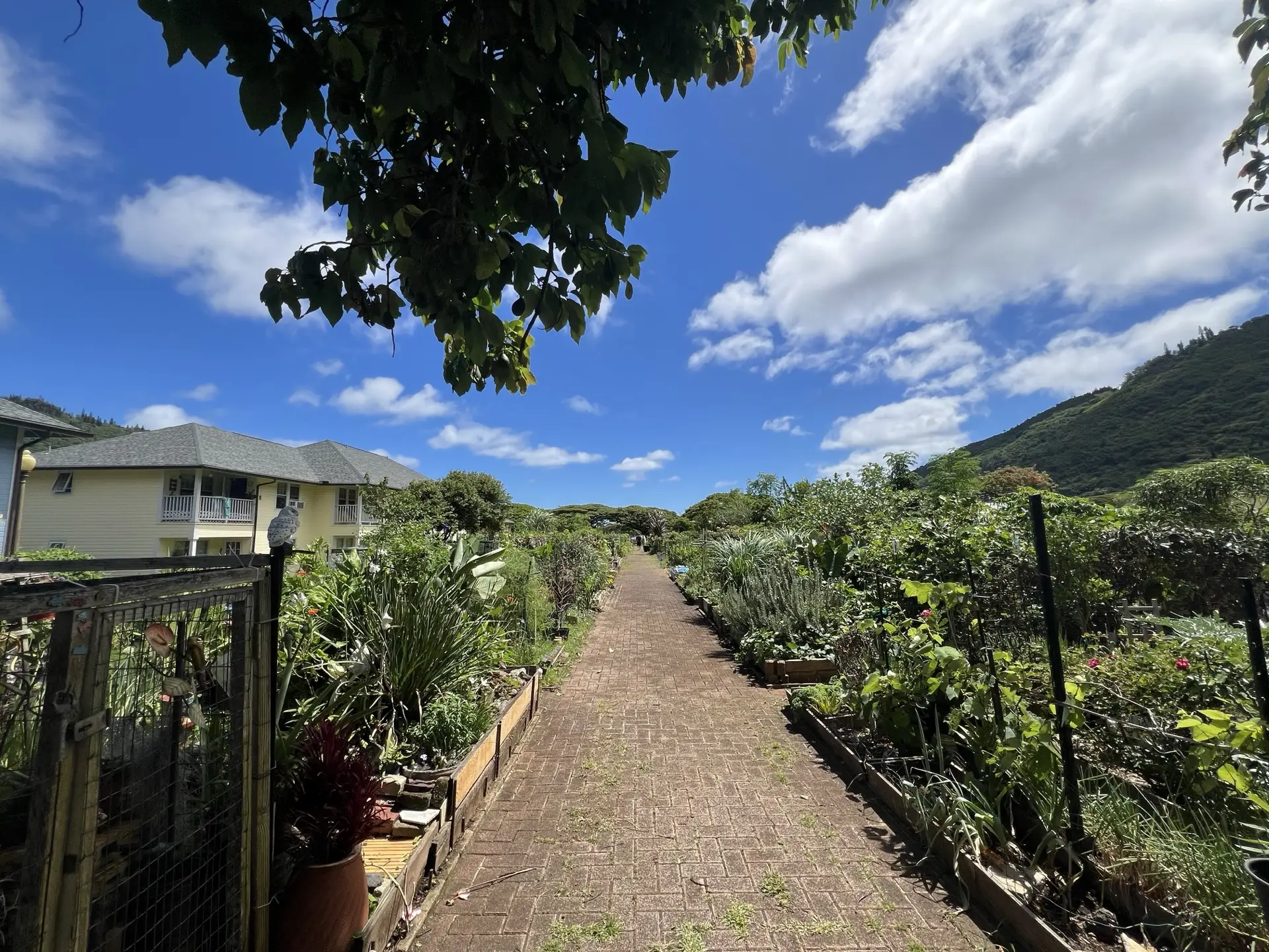 Honolulu, HI, December 12, 2024
