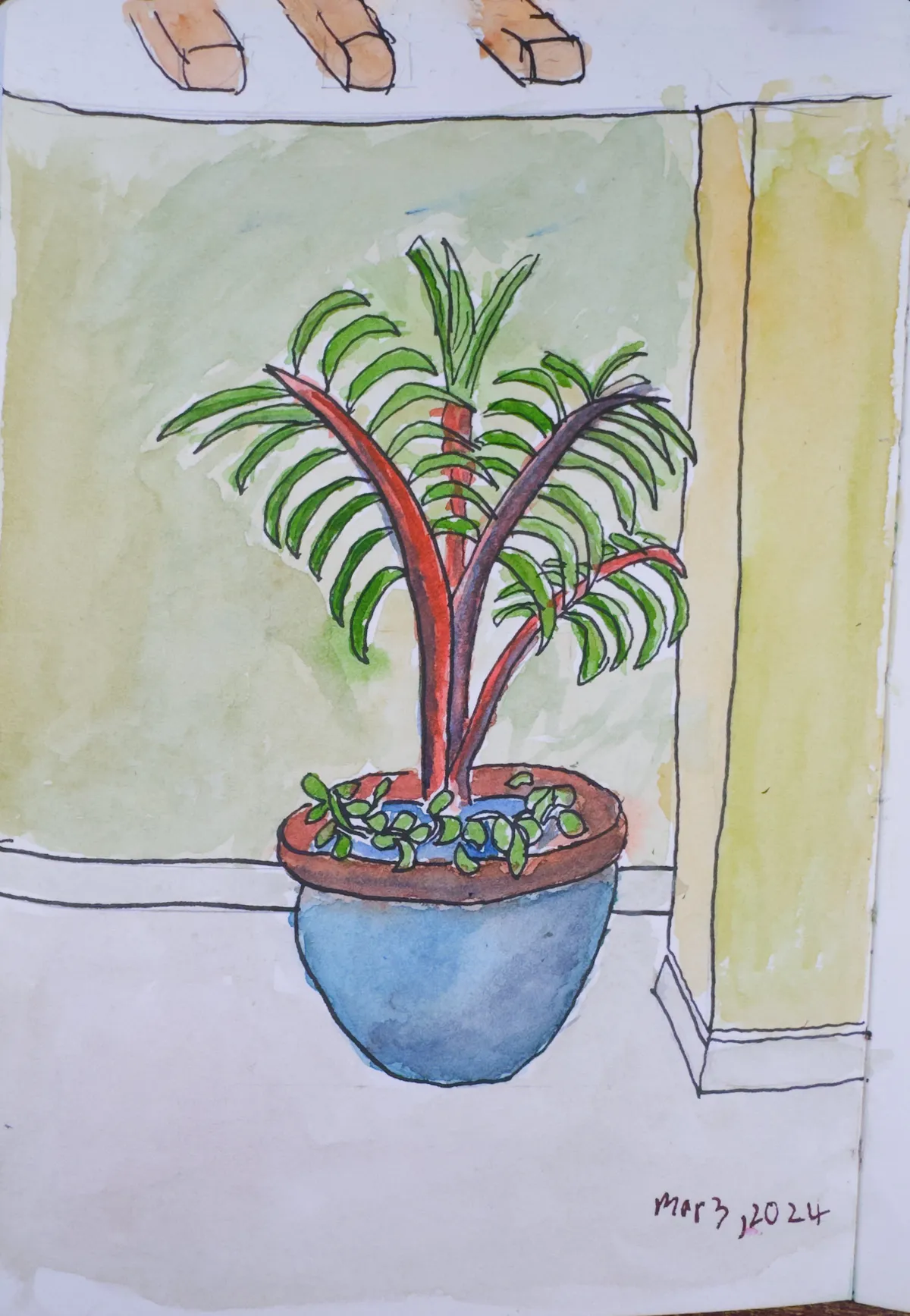 Homa Plant