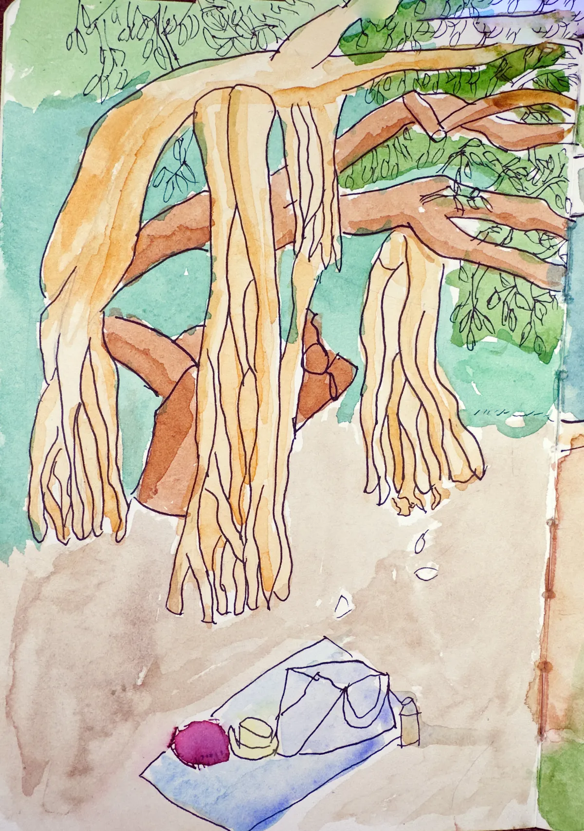 Waikiki Banyan